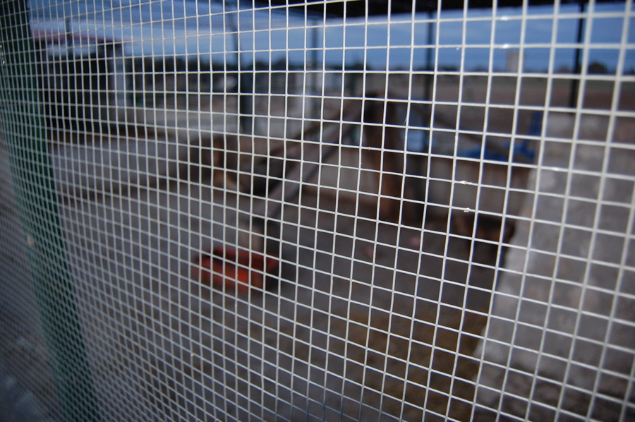 Girl in a jacket