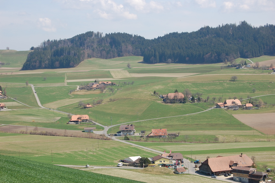 Girl in a jacket