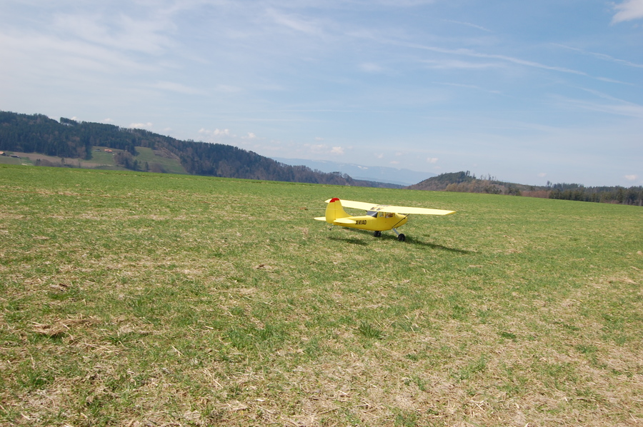 Girl in a jacket