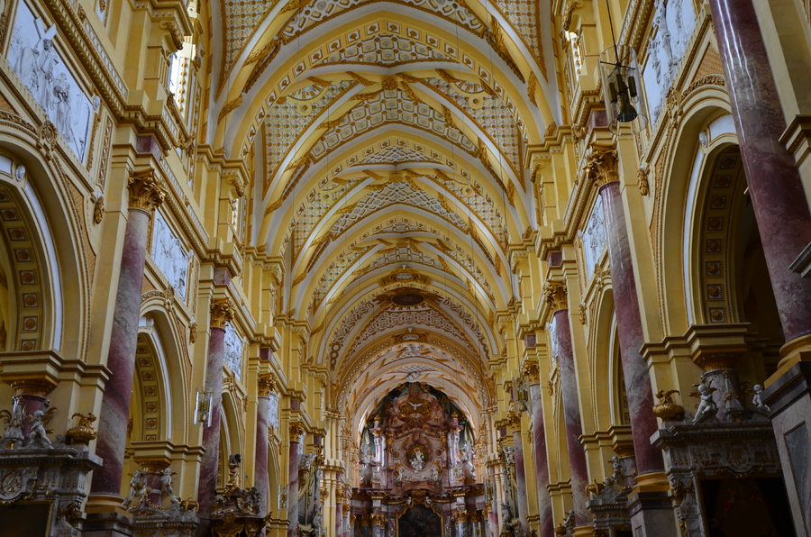 Girl in a jacket