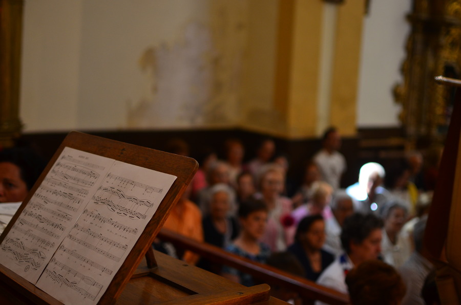 ../Bilder/2015/08/22/ElCarmenCoronacion1128/Fotos/LMS_4453.JPG