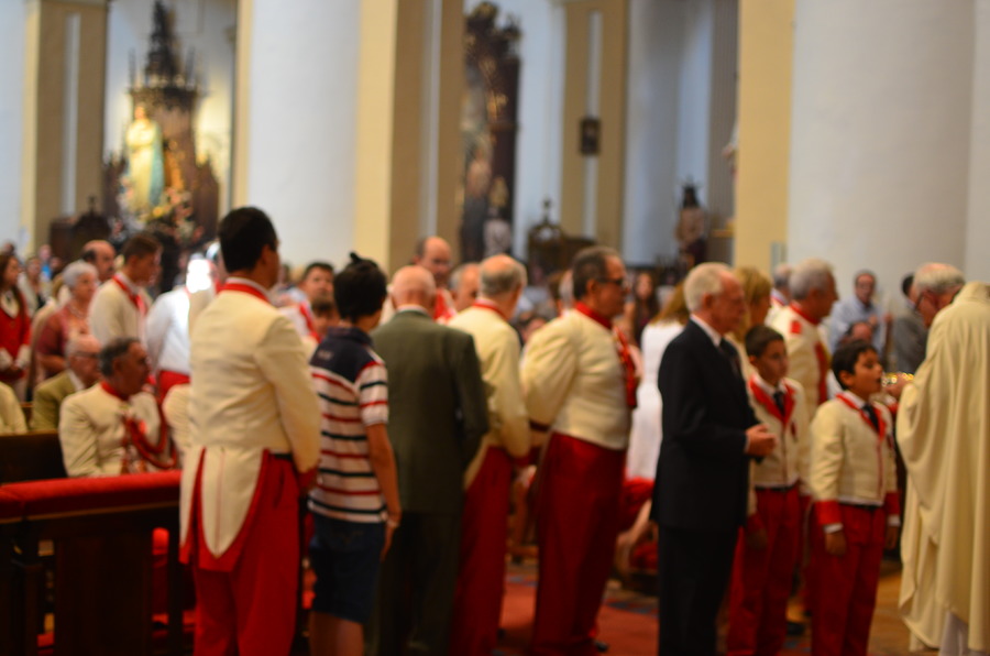 ../Bilder/2015/08/22/ElCarmenCoronacion1128/Fotos/LMS_4459.JPG