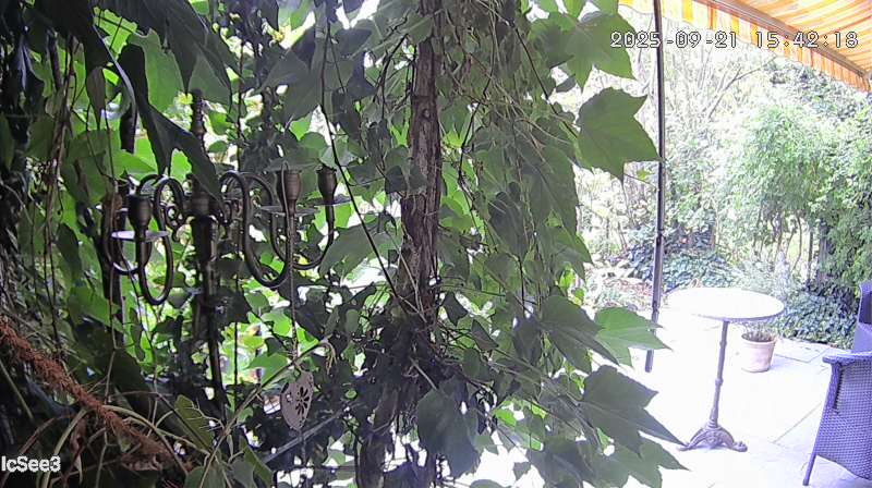 Axis